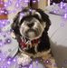 Profile Picture of Ruth Irizarry (@ruth.irizarry.986) on Facebook