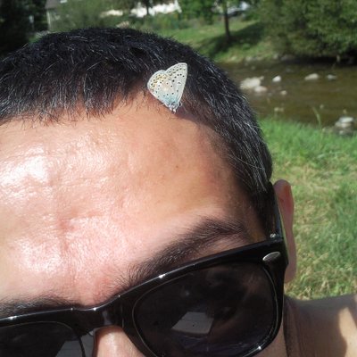 Profile Picture of David Siebold (@SieboldDavid) on Twitter