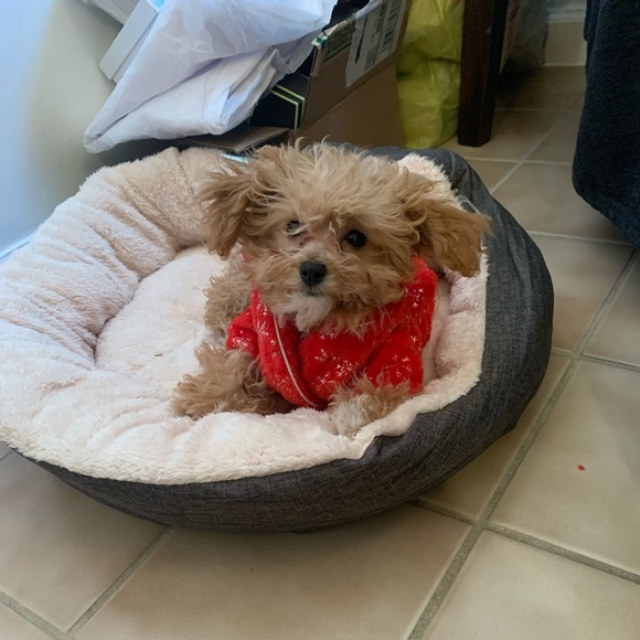 Elizabeth Mohammed - Poshmark Profile Picture of Elizabeth Mohammed (@erm414) on Poshmark