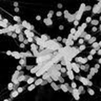 Gregory Zamora - Quora Profile Picture of Gregory Zamora (@gregory-zamora-2) on Quora