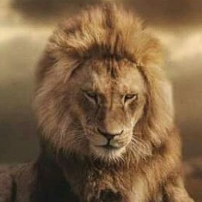 Profile Picture of Steven  Giraldo (@Stevengiraldo07) on Twitter