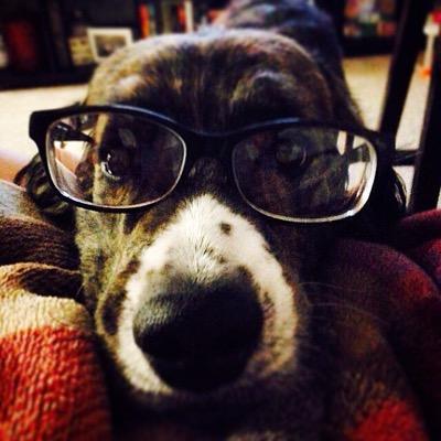 Profile Picture of Aaron Kugler (@MrKugie) on Twitter