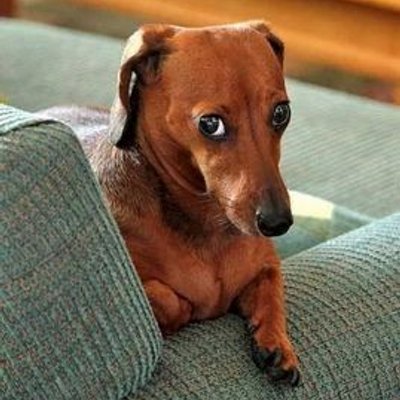 Profile Picture of Marshallneal (@MarshallNeal71) on Twitter