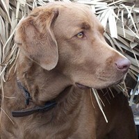 Profile Picture of Sophia Beardemphl (@sophia-beardemphl) on Quora