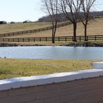 Profile Picture of AmandaMcManawayPhotography (@amandamcmanawayphotography) on Instagram