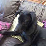 Profile Picture of thomas flatt (@thomasflatt8) on Instagram