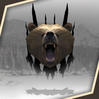 Profile Picture of Robert Casterline  ☁️ (@itsxbear) on Twitter