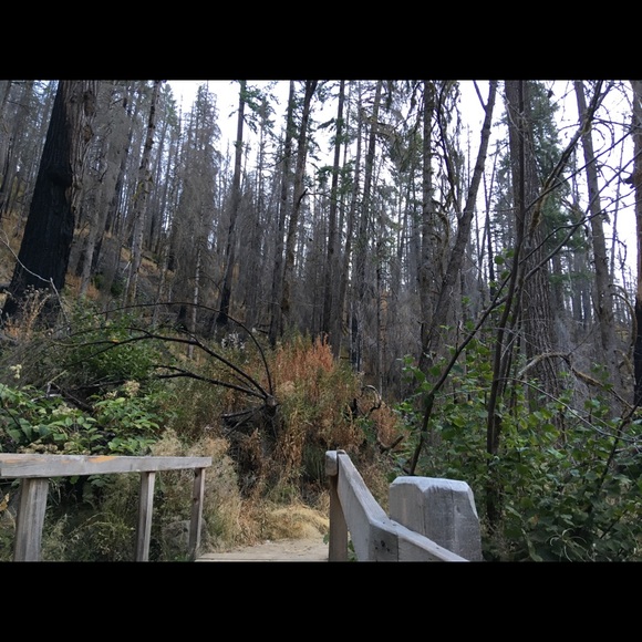 Profile Picture of Katharine Constas (@k_constas) on Poshmark