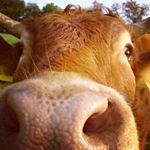 Profile Picture of Berta Serrano (@bertase) on Instagram