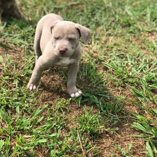 Profile Picture of Isabel Surratt (@surratt_isabel) on Instagram