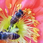 Profile Picture of Guy McGladdery (@guymcgla) on Instagram