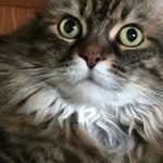 Profile Picture of Abbey Dash (@abbey.dash) on Instagram