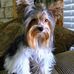 Profile Picture of Sharon Carlton (@sharon.carlton.737) on Facebook