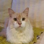 lopezEster - Instagram Profile Picture of lopezEster (@silva_lopez_ester) on Instagram