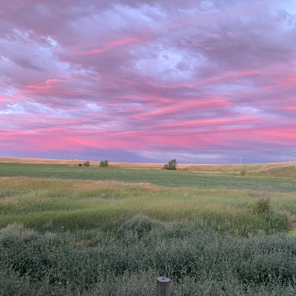 Profile Picture of Mary Oxarart (@maryoxarart) on Poshmark