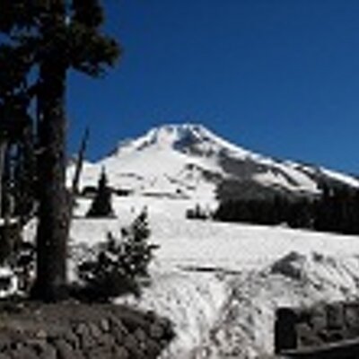 Profile Picture of Susan Scribner (@Sscribs1) on Twitter