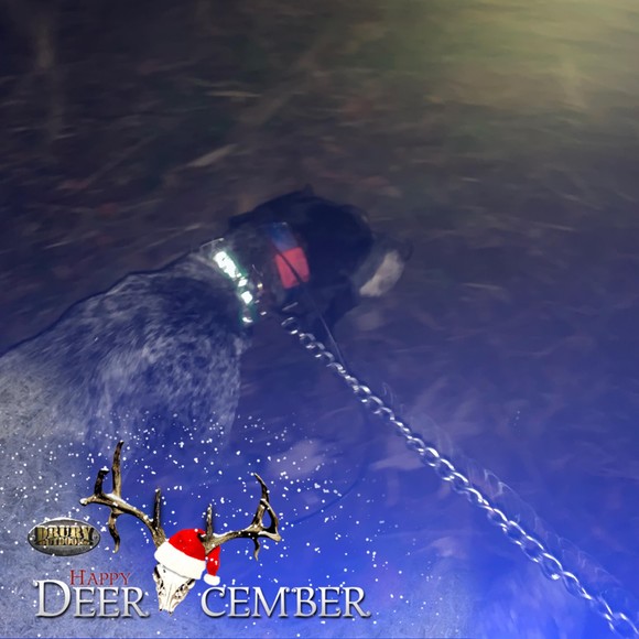 Profile Picture of Dalton Fendryk (@daltonfendryk) on Poshmark