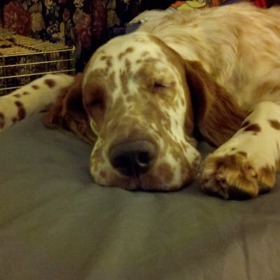 Profile Picture of Julie Quirk (@JEQuirk) on Twitter