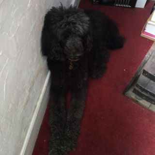 Profile Picture of Beverley Stone (@beverley.stone.71216) on Facebook