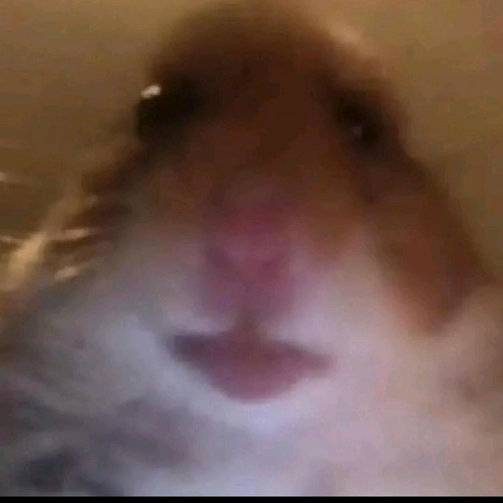 Profile Picture of Patrick _kgr (@patrick_kgr2007) on Tiktok
