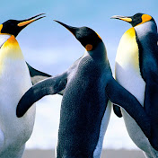 Profile Picture of Jonah Paul (@jonahpaul891) on Youtube