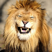 Profile Picture of Christian Craig (@christiancraig4316) on Youtube