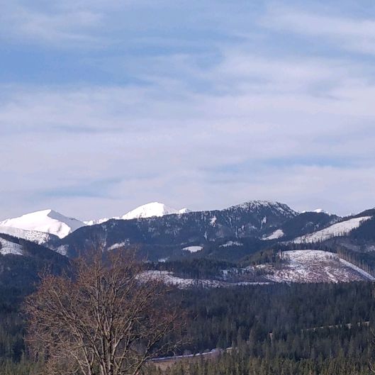 Profile Picture of Piter Godlewski (@pitergodlewski) on Tiktok