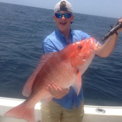 Trip Roberts - Twitter Profile Picture of Trip Roberts (@TripRoberts) on Twitter