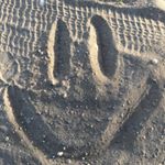 Profile Picture of Seth Fraser (@uncle_doug87) on Instagram