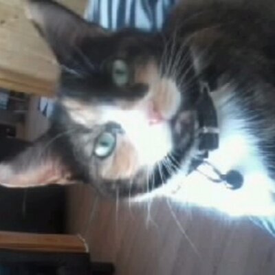 Profile Picture of Ruby Wright (@Rubywright20) on Twitter