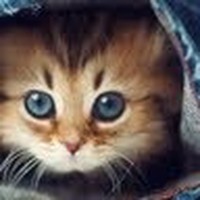 Profile Picture of Debbie Randall (@debbie-randall-26) on Quora