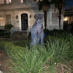 Profile Picture of Christian Lemoine (@christianlemoine_) on Instagram