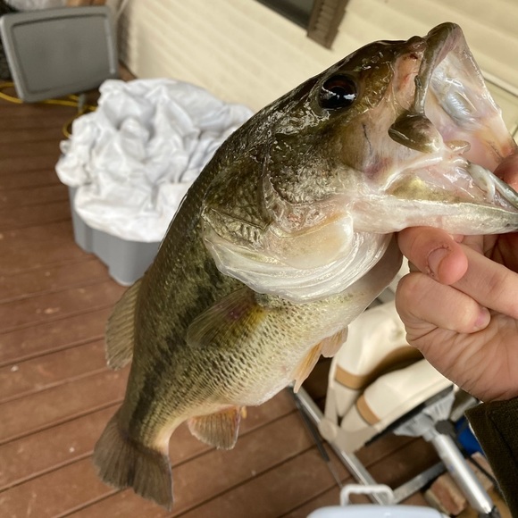 Profile Picture of Joby Johnson (@jobyjohnson0) on Poshmark