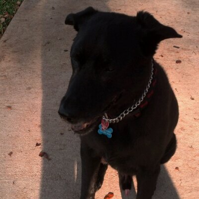 Profile Picture of David Ruskin (@dr6453) on Twitter