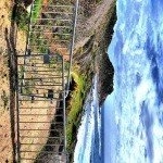 Profile Picture of Daigle (@ellorau38ruby) on Instagram