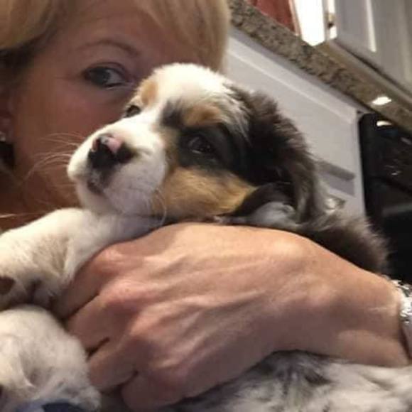 Profile Picture of Karen Raduziner (@redrockjack) on Poshmark