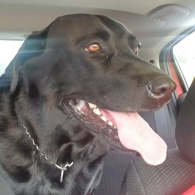 Profile Picture of Tori Hansen (@torihansen1116) on Twitter