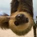 Profile Picture of Christina Giuliano (@chrigiul10527) on Pinterest