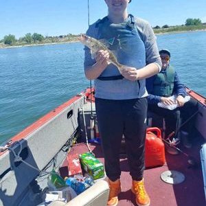 Profile Picture of Edwin Lindquist (@EdwinLindquist1) on Twitter