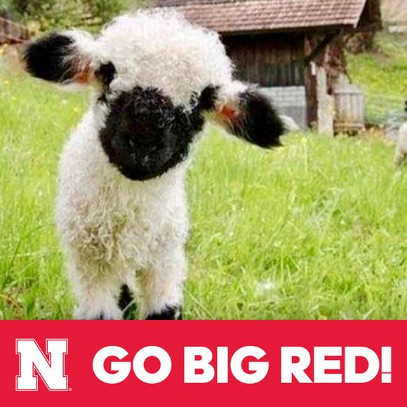 Profile Picture of Shannon Addleman (@justcheck) on Poshmark