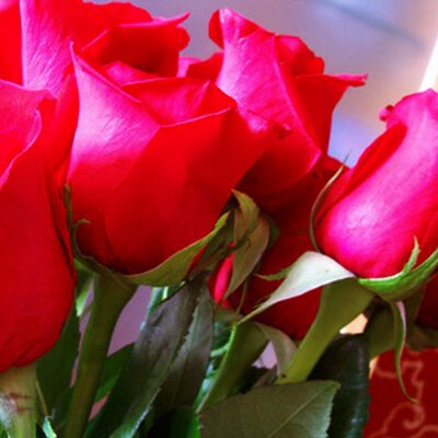 Profile Picture of Lucero Flores (@luceroflores6) on Twitter