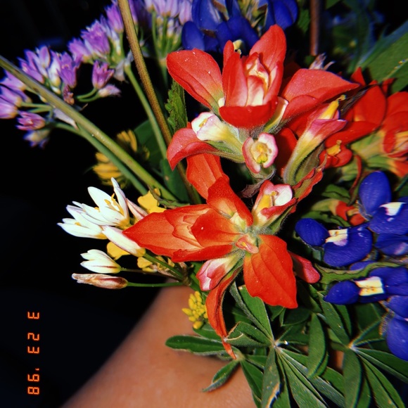 Profile Picture of Zoe Calkins (@zoenichele06) on Poshmark