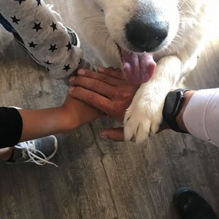 Profile Picture of Joshua Greer (@Joshua-Greer) on Facebook