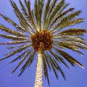 Profile Picture of Kaiser Asadi (@kaiserasadi2799) on Youtube