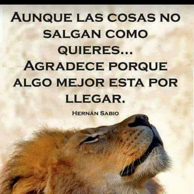 Profile Picture of Gabriel Ovando (@Gabriel78009555) on Twitter