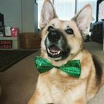 Profile Picture of Randy Dees (@randallp09) on Instagram