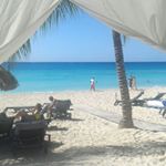 Profile Picture of Peter Metzger (@peter_mtzh6) on Instagram