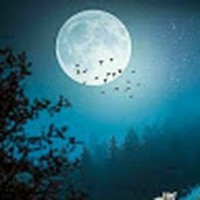 Profile Picture of Joyce Haddad (@joyce-haddad-11) on Quora