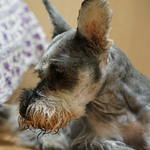 Profile Picture of keisuke inoue (@ccknockinghigher) on Flickr