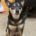 Profile Picture of Michael Rotkowitz (@michael.rotkowitz.3) on Facebook